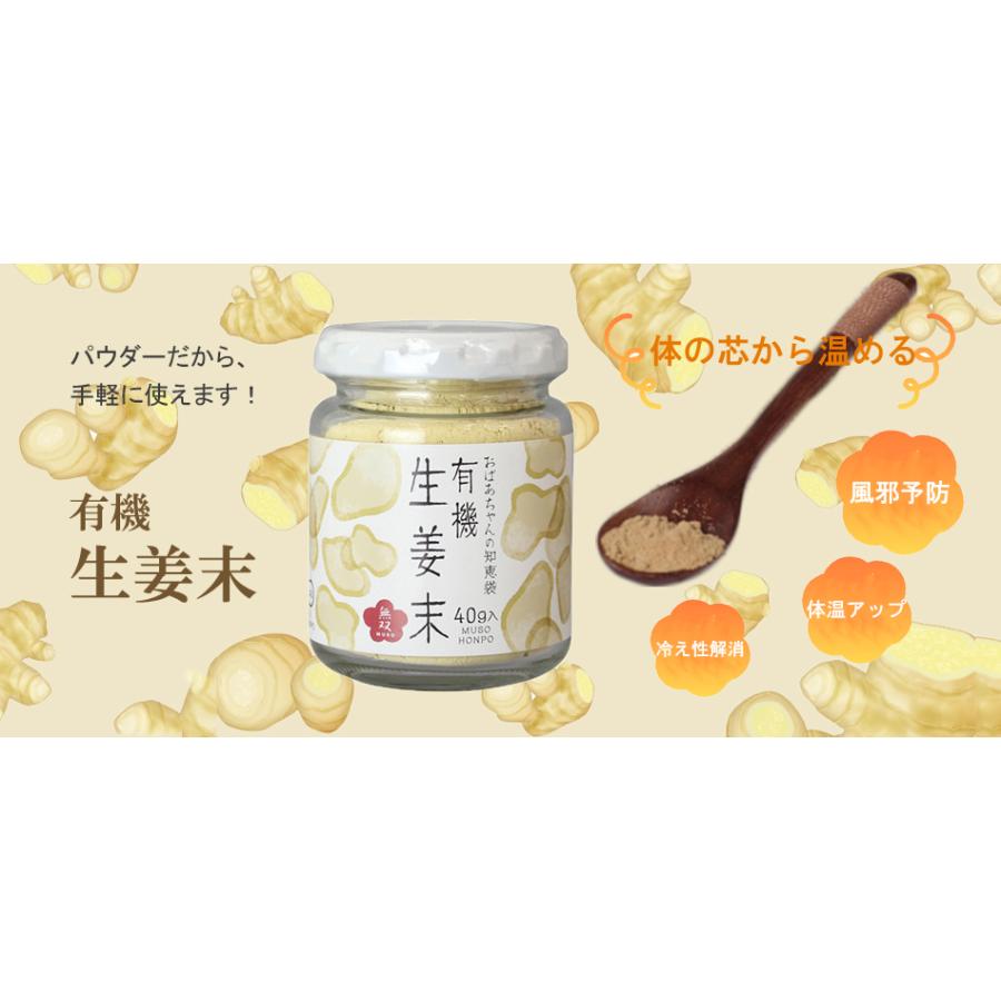 有機生姜末・ビン入　40g　ムソー |  | 01