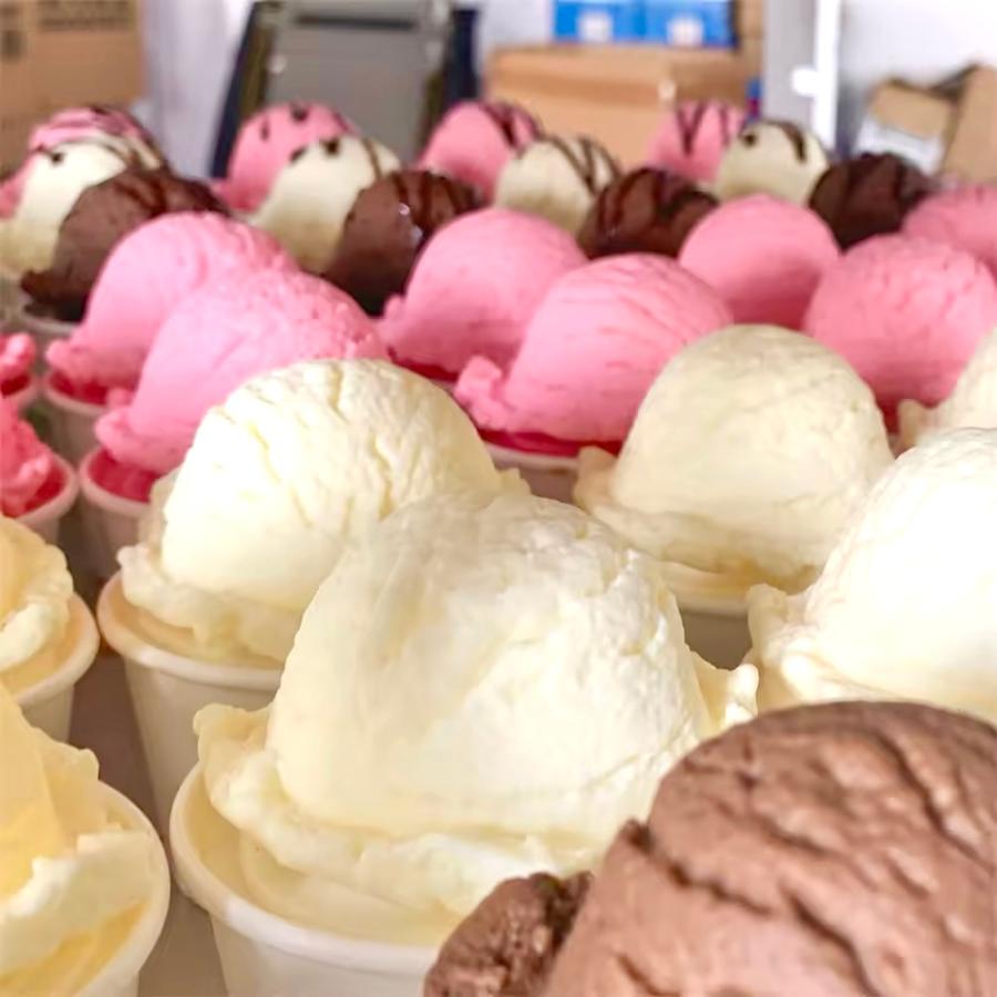 食品サンプル　アイスクリームケース入り ☆本物そっくり☆ 3個入り 食品サンプル アイスクリーム バニラ
