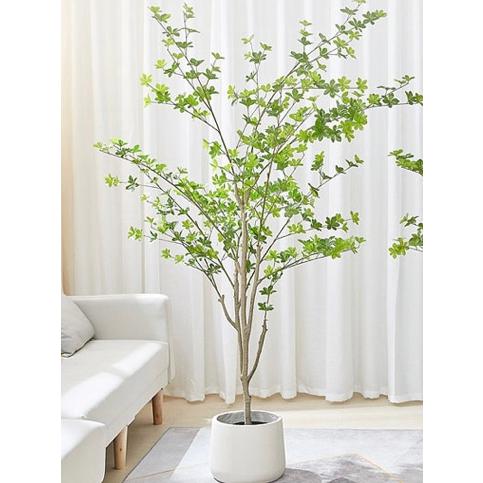 リアル　フェイクグリーン　オリーブ　ユーカリ　ツツジ　ドウダンツツジ　専門 フェイクグリーンオリーブ ユーカリ ツツジ ドウダンツツジ 専門 造花