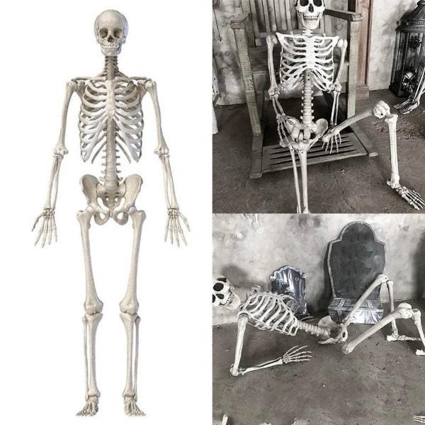 ☆等身大サイズ☆ リアルな見た目 人体模型 骨格標本 約170cm 骸骨