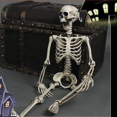 ☆等身大サイズ☆ リアルな見た目 人体模型 骨格標本 約170cm 骸骨