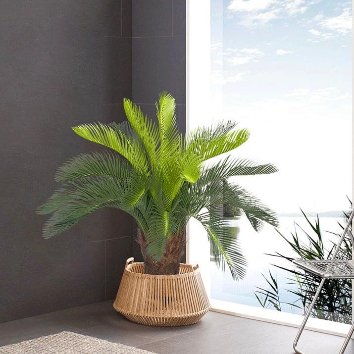 ☆高さ80cm☆ 造花 ソテツ 蘇轍 フェィクグリーン 観葉植物 屋外OK
