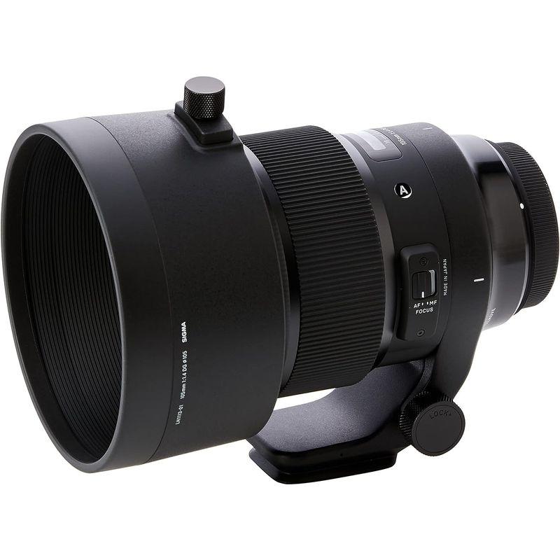 【数量限定アウトレット品】 SIGMA 単焦点中望遠レンズ 105mm F1.4 DG HSM | Art A018 CANON-EFマウント用 フルサイズ対応 【2894424838】(103863円)