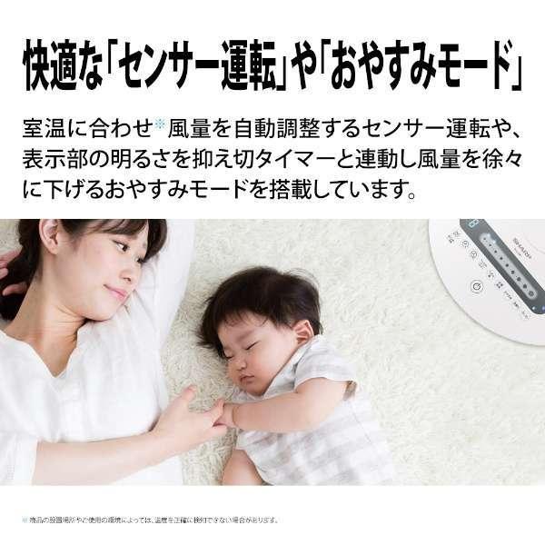 新品 シャープ SHARP PJ-L3DG-W プラズマクラスター扇風機 ハイ