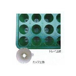 すくすくトレー　３５穴　２５０枚 すくすくトレイ 35穴用 : 日本農業システム - 通販 - Yahoo!ショッピング