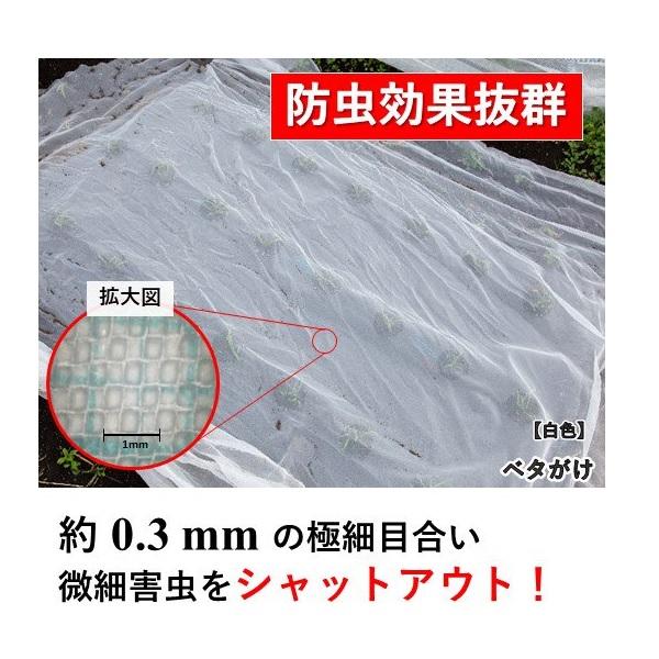 ソフト寒冷紗白 210cm x 50m （ロール） : 日本農業システム - 通販