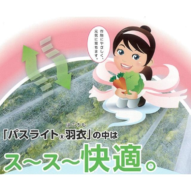 一番人気物一番人気物パスライト 羽衣 幅180cmX長さ200m 農業資材 トマトパック 横155×縦156×高さ60mm 1200枚