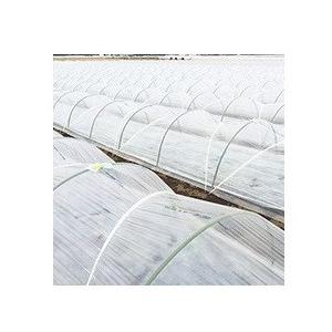 トンネル栽培用　農ビロジーナ　厚さ0.075mm　幅210cmX長さ100ｍ｜日本農業システム