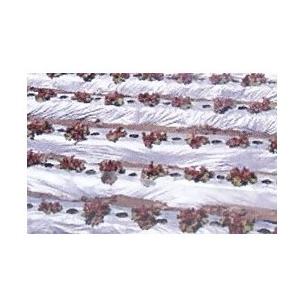 農業用マルチシート　国産オリジナル　シルバーマルチ 厚さ0.02mmX幅135cmX長さ200m(無孔）