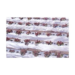 農業用マルチシート 国産オリジナルシルバーマルチ 厚さ0 02mmx幅150cmx長さ0m 無孔 直送品 日本農業システム 通販 Paypayモール