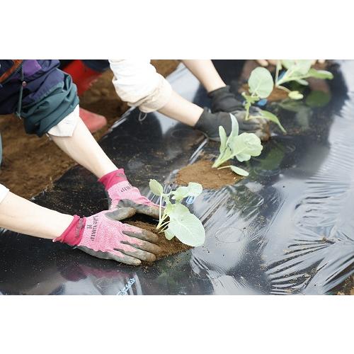 イワタニ家庭菜園用フリーホールマルチ 黒 厚さ0.02mmX幅95cmX長さ50m