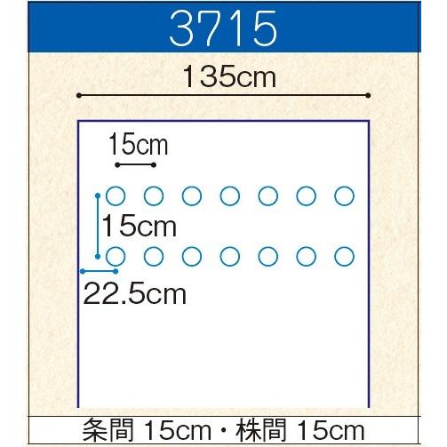 農業用マルチシート オリジナル白黒穴あきマルチ 厚さ0.021mm 幅135cm