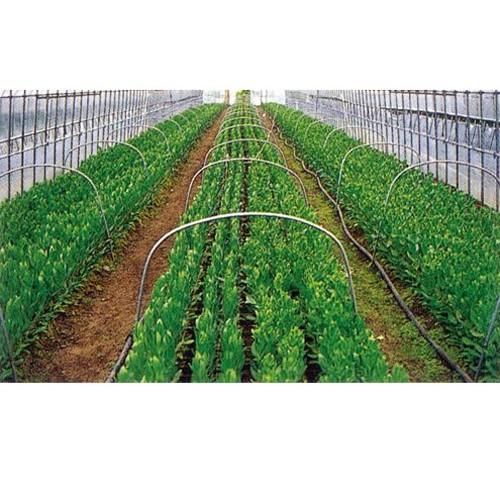 ハウス サイド用PO 150cm×100m 厚さ0.1mm1本