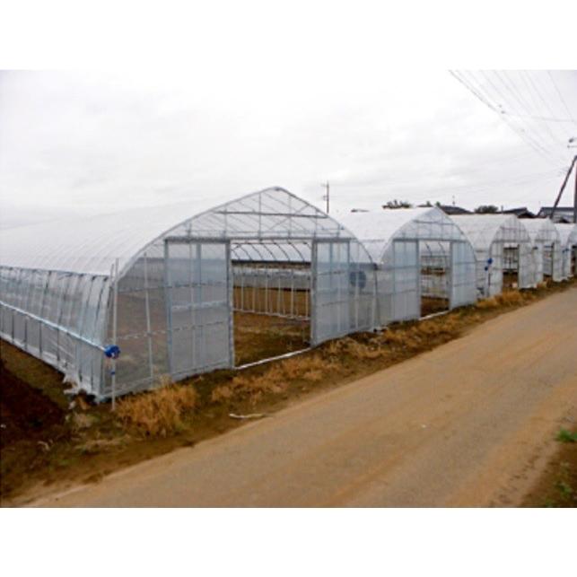 テーパーアンドシェイプ 邪道 RAISON JABURO RAISON JABURO ［レゾン