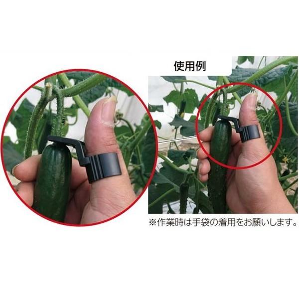 きゅうりカッター 本体 (替え刃セット)CP-692 : 日本農業 きゅうりカッター 本体 (替え刃セット)CP-692 : 日本農業