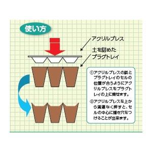 アクリルプレス（播種穴開け器具） AT-128 128穴用 タキイ根巻防止