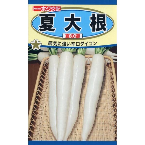 ダイコンの種 F1 夏大根 夏の姫 5ml 品番1416 種子 たね : 日本農業