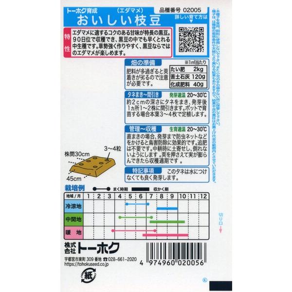 エダマメの種　おいしい枝豆　25ml　品番2005　種子　たね｜nns｜02