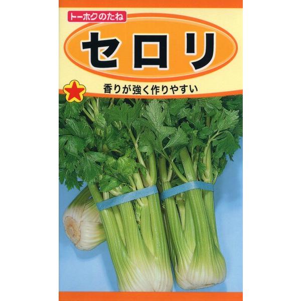セロリ 種子 たね 品番3521