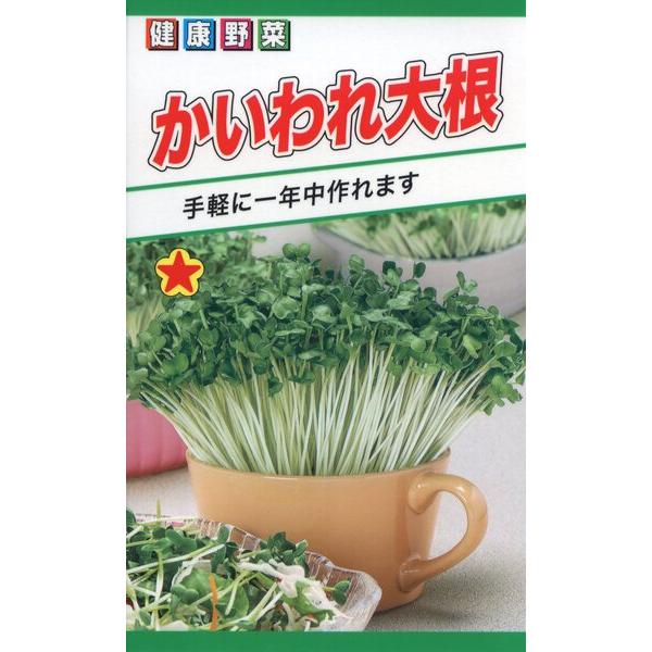 かいわれ大根の種 かいわれ大根 20ml 品番6407 種子 たね : 日本農業