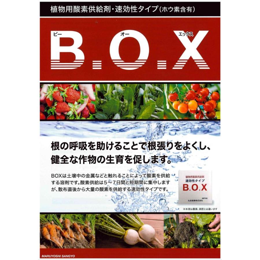植物用酸素供給液剤　BOX　10L｜nns｜02