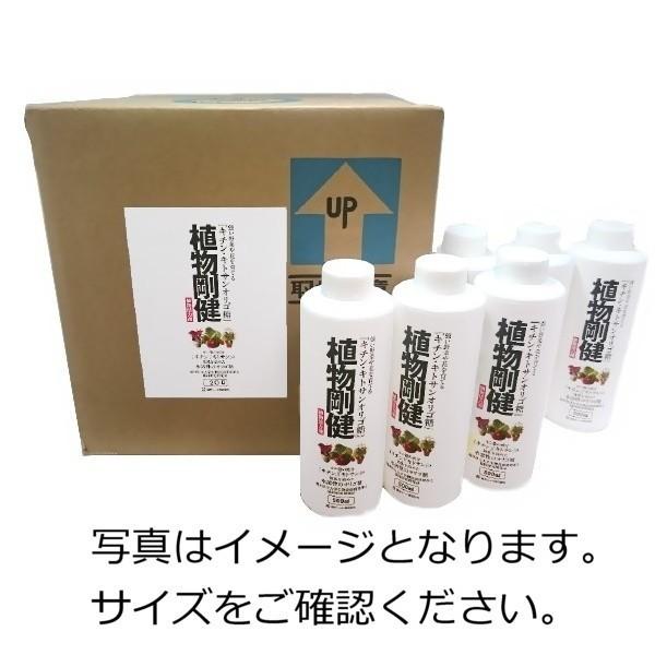 BASARA バサラ エンタイス