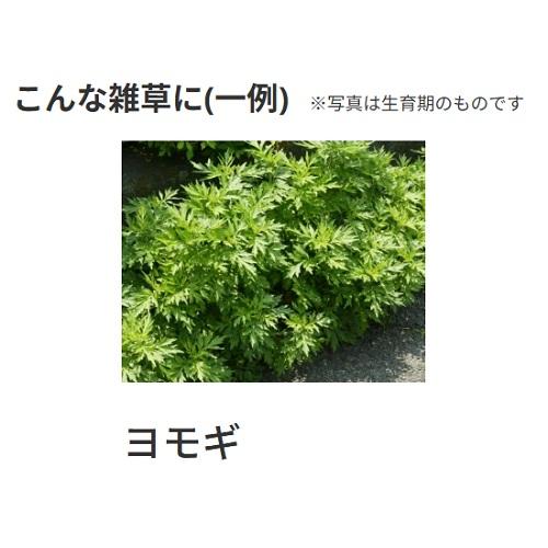 ネコソギトップF粒剤　5kg_3