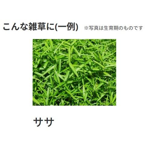 ネコソギトップF粒剤　5kg_5