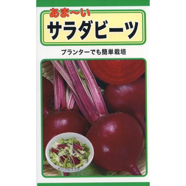 最安値に挑戦 ビーツの種 あま い サラダビーツ 10ml 品番1110 種子 たね Aynaelda Com