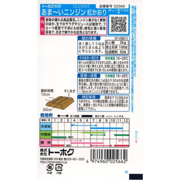 ニンジンの種　あまーいニンジン　紅かおり　4ml　品番2566　種子　たね｜nns｜02