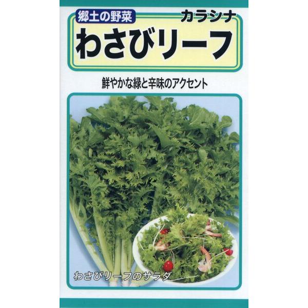 わさび菜の種 わさびリーフ 10ml 品番4961 種子 たね : 日本農業