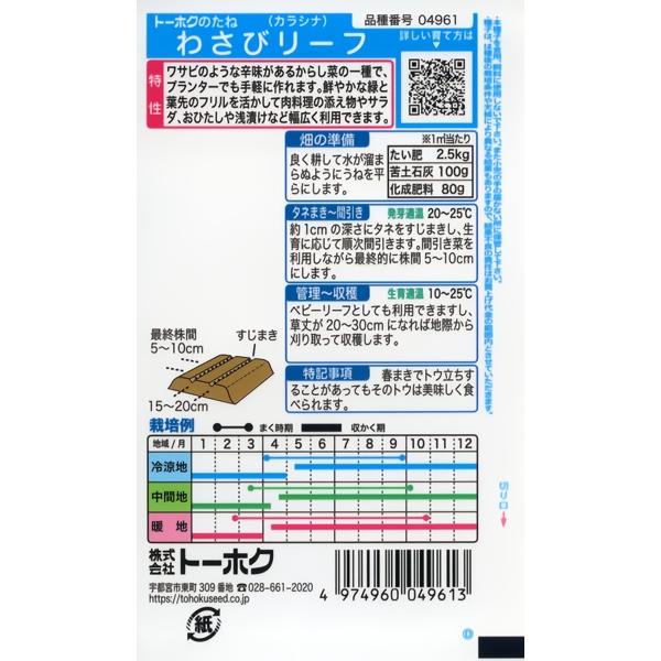 わさび菜の種　わさびリーフ　10ml　品番4961　種子　たね |  | 01