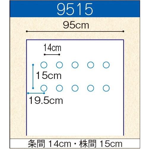 農業用マルチシート　オリジナル白黒穴あきマルチ　厚さ0.021mm×幅95cm×長さ200m×孔45mm　並列　規格9515　5本セット