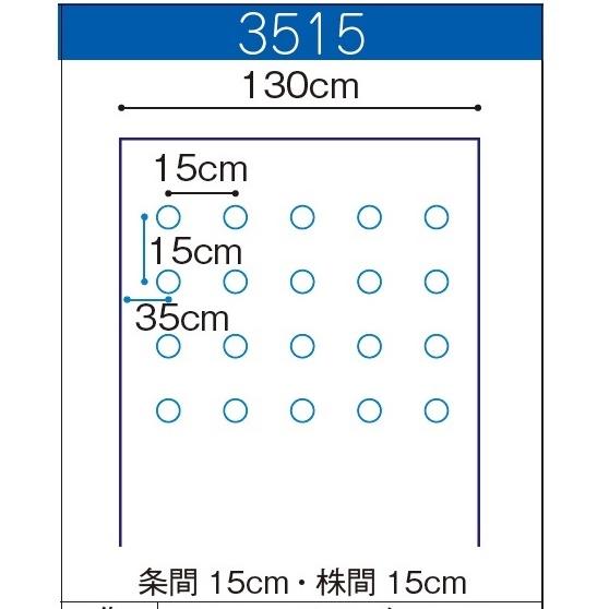 農業用マルチシート 黒ホールマルチ 厚さ0.02mm×幅130cm×長さ200m×孔