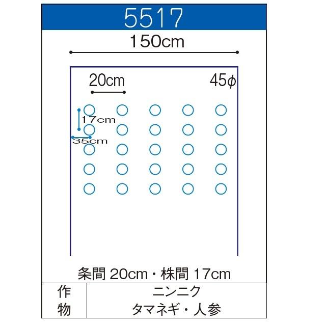 黒ホールマルチ 厚さ0.02mm×幅150cm×長さ200m×孔45mm 規格5517 黒色 並列 3本セット 直送品|nns|02