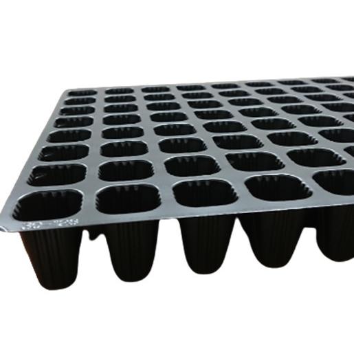 タキイ 根巻防止セルトレイ ストロング M型 200穴 黒 100枚入 : 日本