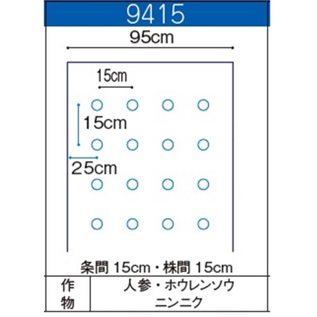 サンバイオ　黒　9415穴60mm（並列）厚さ0.018×幅95cm×長さ200ｍ（条間15cm×株間15cm）　2本入