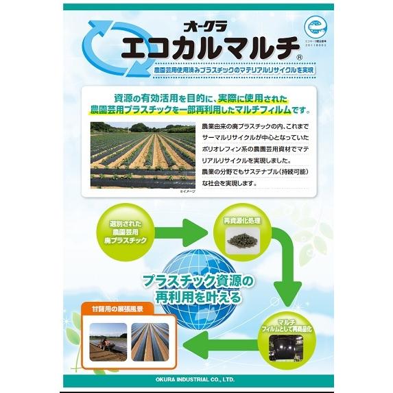 昭和レトロ 十三仏 十三佛 山口仙華 日本画 掛軸 掛け軸 伝統工芸 床の間 昭和レトロ 十三仏 十三佛 山口仙華 日本画 掛軸 掛け軸 伝統工芸 床の間