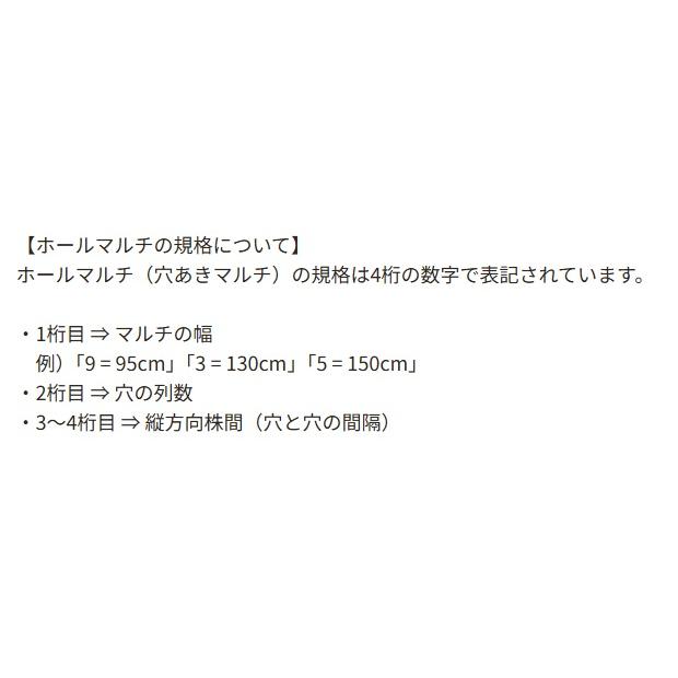 黒ホールマルチ 厚さ0.02mm×幅130cm×長さ200m×孔45mm 規格3420 3本