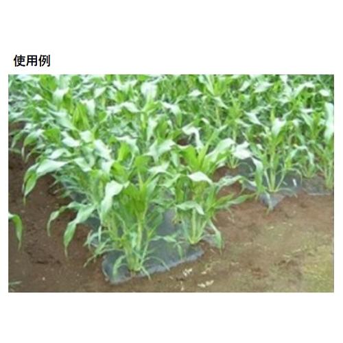 サンバイオ 黒（穴あき）規格9235 穴径45mm（チドリ）厚さ0.018mm×幅 