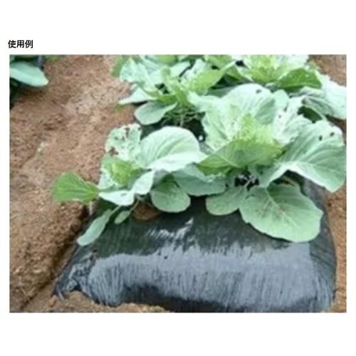 サンバイオ 黒（穴あき）規格9235 穴径45mm（チドリ）厚さ0.018mm×幅 