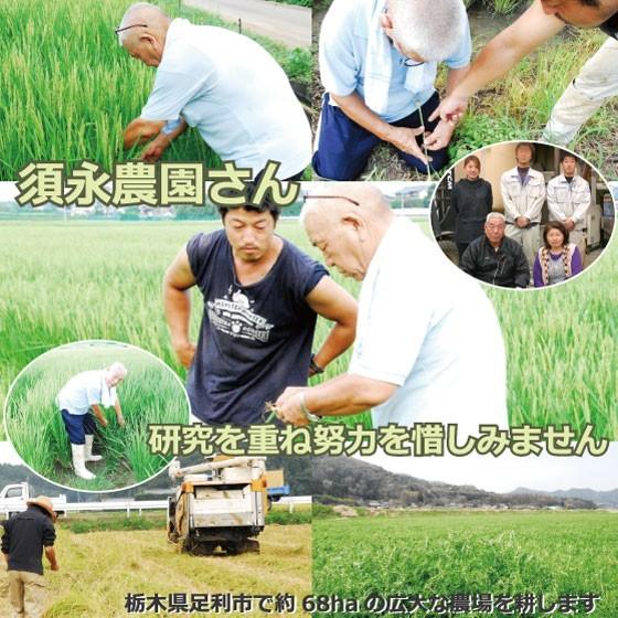 新米 令和7年産 栃木県 ミルキークイーン 30kg 農家直送 送料