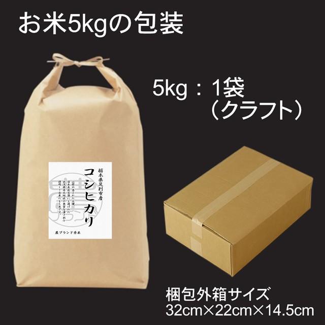 栃木県産 コシヒカリ 5kg 2023年産 あすつく 送料無料 こしひかり ギフト プレゼント お米 米 無洗米 白米 玄米 おこめ こめ コメ お祝い 内祝 お取り寄せ｜no-brand｜05