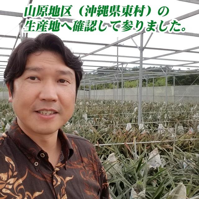スナック パイン パイナップル 大玉 Lサイズ約 2kg (約1kg×2玉) 沖縄県 ギフト お中元 御中元 送料無料 プレゼント 誕生日 ボゴール 甘い 果物 フルーツ 贈答 |  | 04