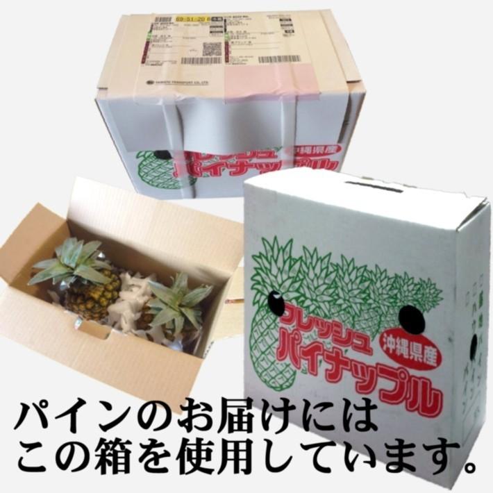 ピーチパイン 送料無料 パイナップル 約1.8kg(約600g×3玉) 父の日 ギフト プレゼント 誕生日 沖縄県産 お取り寄せ ソフトタッチ パイン 果物 フルーツ 贈答 |  | 07