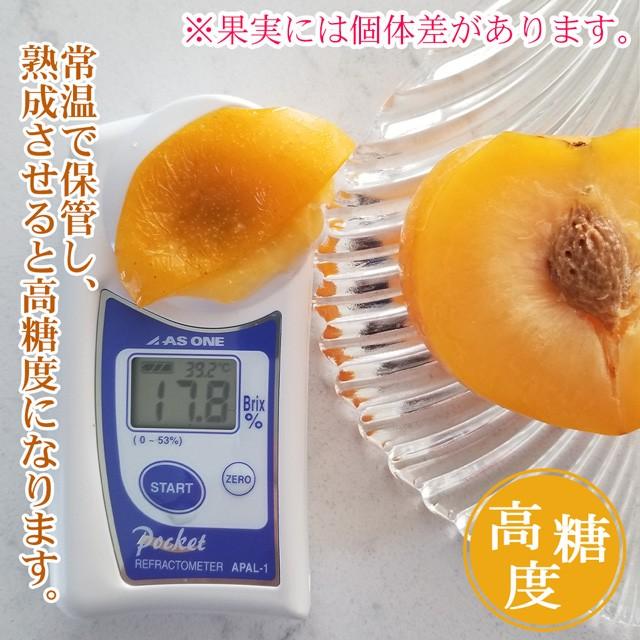 すもも 秋姫 大玉 5l以上 7玉 約1 2kg 黄色 送料無料 おとりよせ 山形産 ふるさと 産直 贈答 フルーツ ギフト プラム スモモ 果物 くだもの 果実 プレゼント 1301 農ブランドyahoo ショップ 通販 Yahoo ショッピング