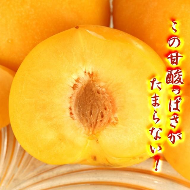 AY様 専用 すもも 10㎏