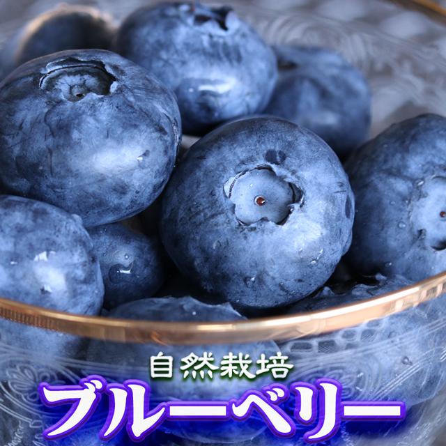 ブルーベリー*生ブルーベリー*完熟ブルーベリー*本日朝摘み*果物*無農薬 通販 庭先栽培 無農薬 ブルーベリー 500g 宅急便コンパクト 安心安全 熊本産