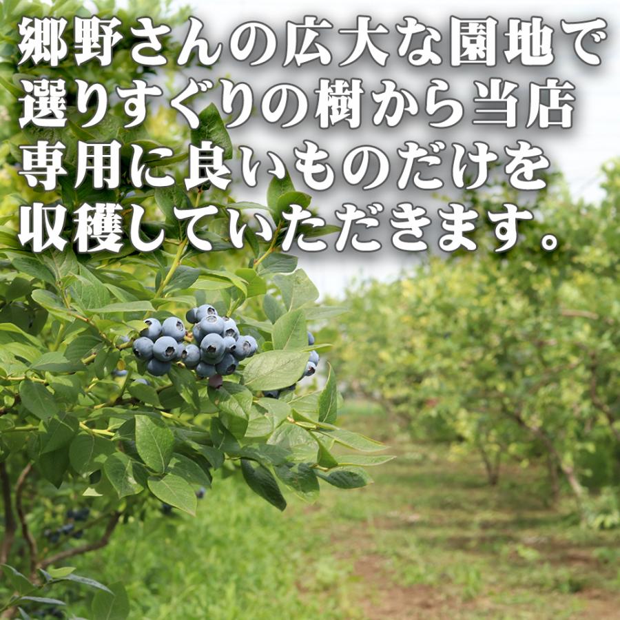 お中元 夏 ギフト 栃木県 生 ブルーベリー 国産 無農薬 大粒 約1kg 約500g×2パック 高級 フルーツ お取り寄せ グルメ 果物 御中元 プレゼント 贈り物 送料無料 |  | 05