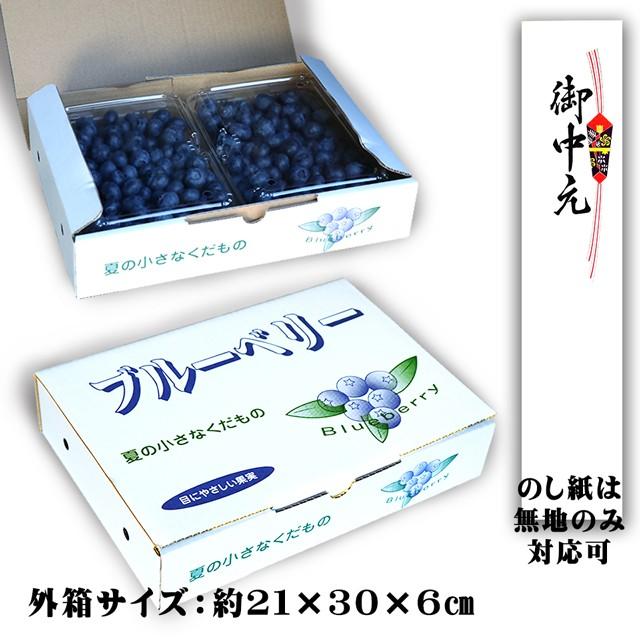 お中元 夏 ギフト 栃木県 生 ブルーベリー 国産 無農薬 大粒 約1kg 約500g×2パック 高級 フルーツ お取り寄せ グルメ 果物 御中元 プレゼント 贈り物 送料無料 |  | 07